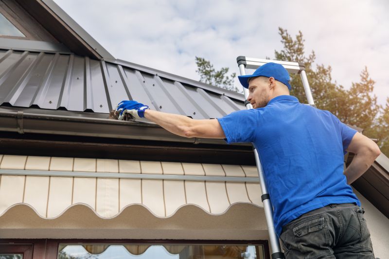 Gutter Cleaning Specialists