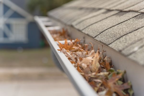 Leaf Barrier Installation in Hampton
